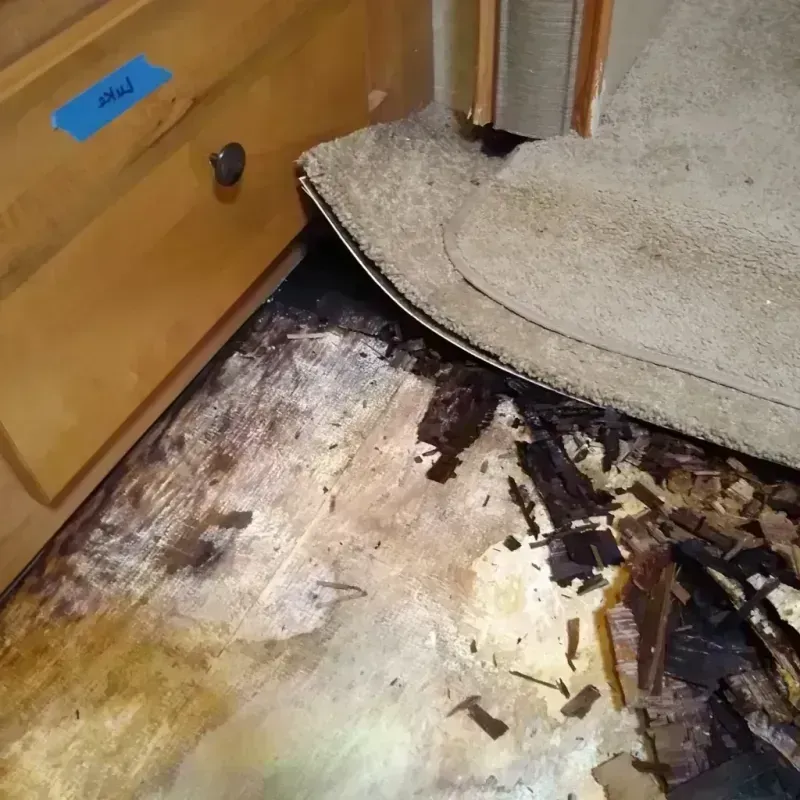 Wood Floor Water Damage in Santa Maria, CA